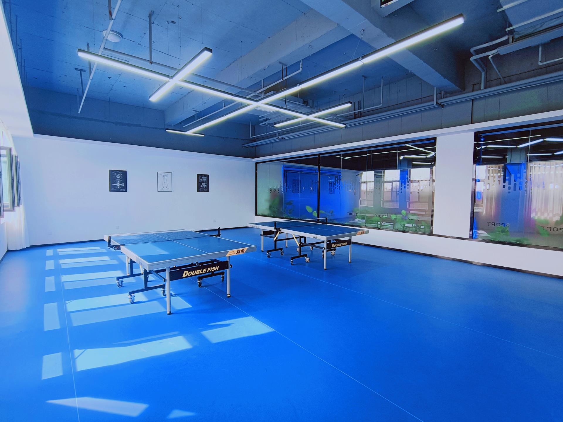 ������Z6(�й���֤)�������޹�˾����