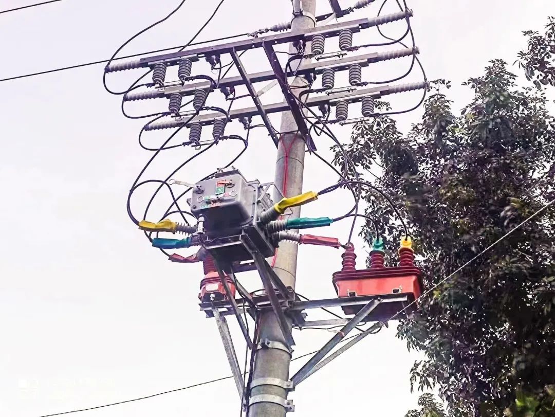 ������Z6(�й���֤)�������޹�˾����