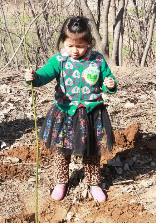 ������Z6(�й���֤)�������޹�˾����