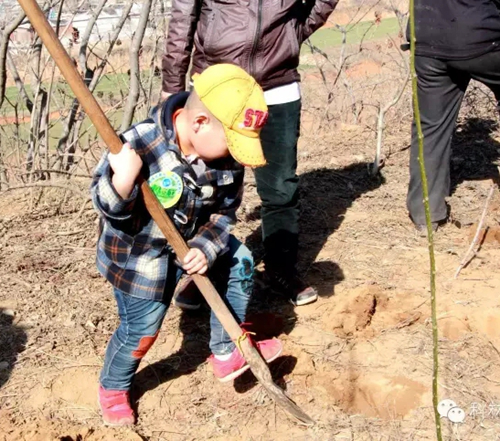 ������Z6(�й���֤)�������޹�˾����