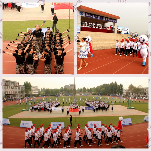 ������Z6(�й���֤)�������޹�˾����