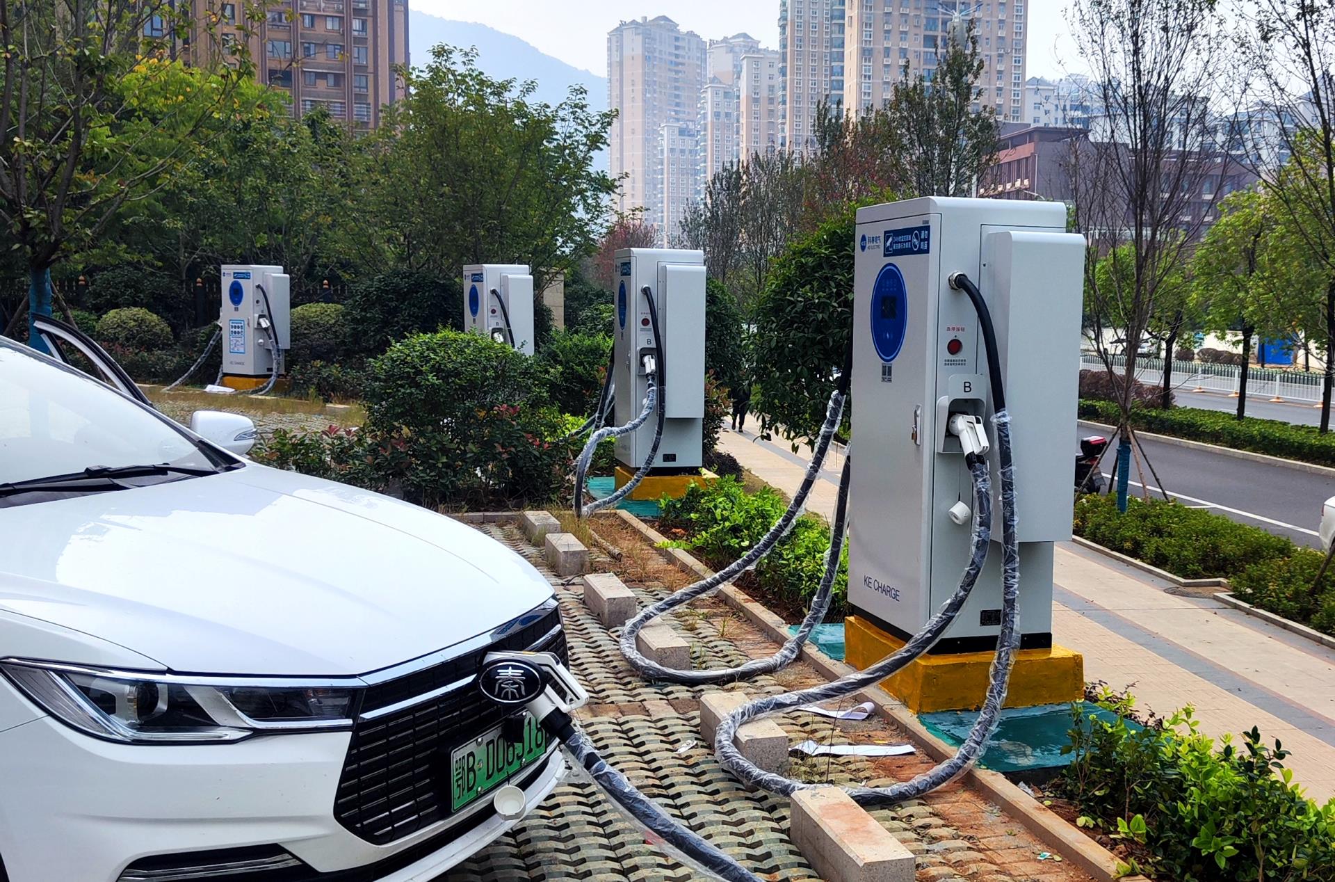 ������Z6(�й���֤)�������޹�˾����